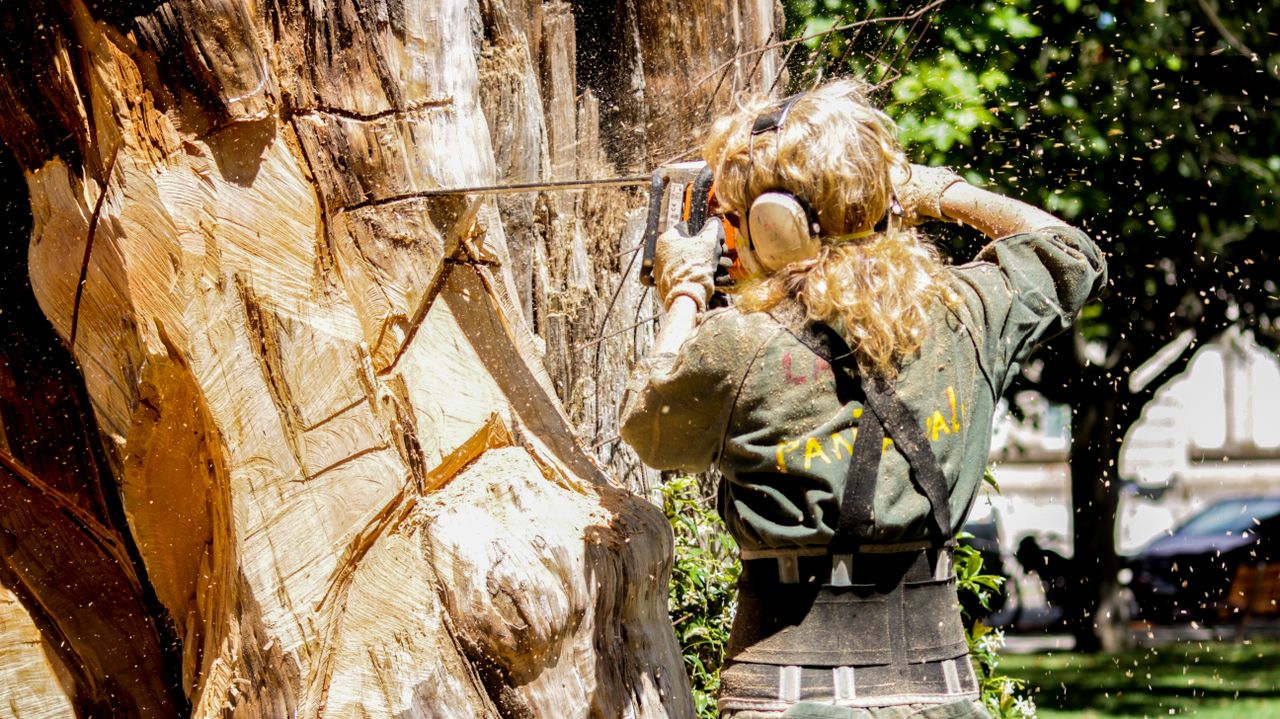 Arborist using a chainsaw to cut a storm-damaged tree in Irvington NJ