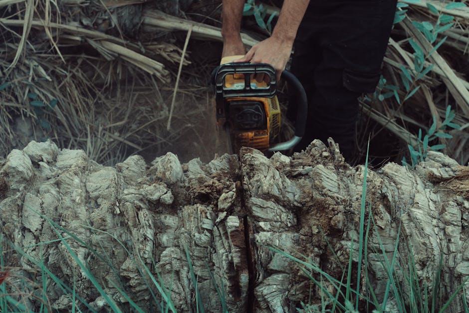 Close-up of a man using a chainsaw to cut a tree trunk for residential tree removal in Irvington NJ