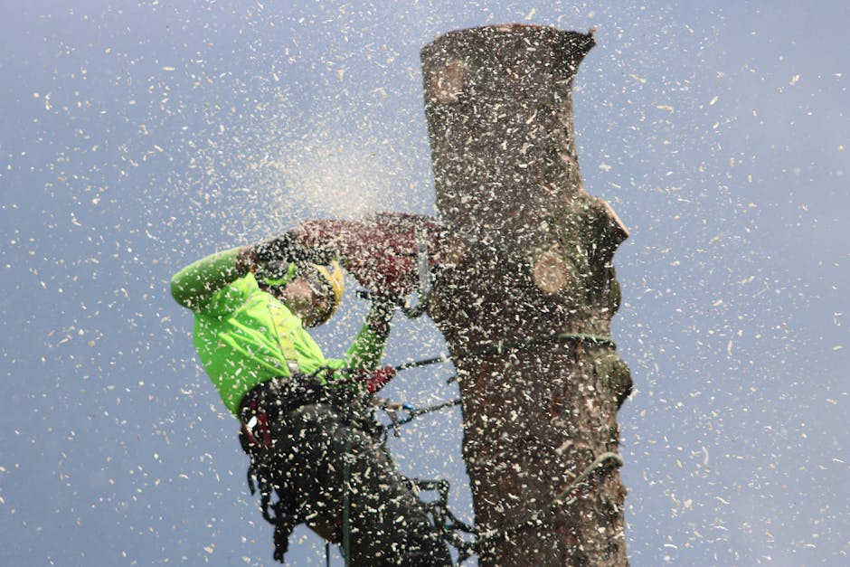 Arborist safely cutting down a tree with a chainsaw during tree removal in Irvington NJ